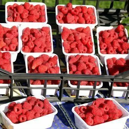 Le Reve Séjour à la campagne Courmayeur
