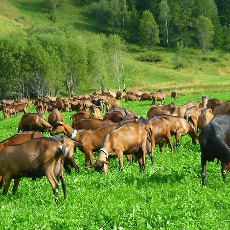 Séjour à la campagne Le Reve *
