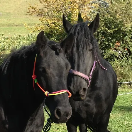 Le Reve Country house