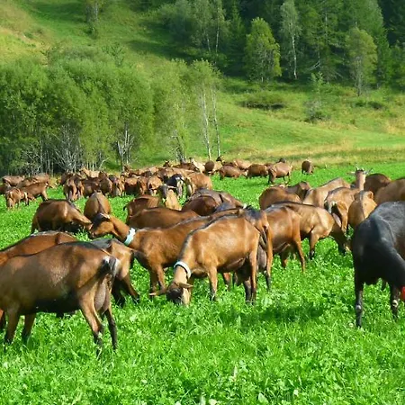 Le Reve Gasthof *