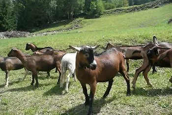 Le Reve Gasthof