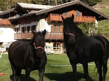 Le Reve Guest house